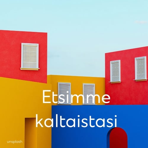 Etsimme kaltaistasi