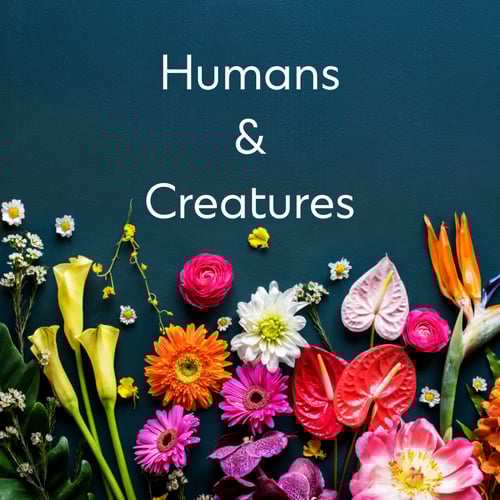 Humans and creatures