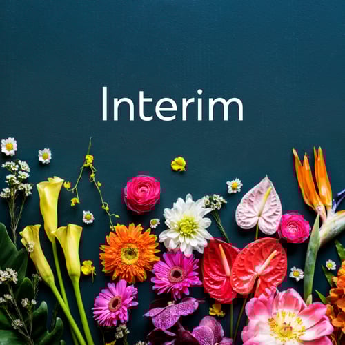 Interim