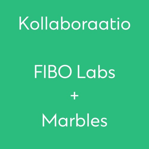 Kollaboraatio Fibo Labs
