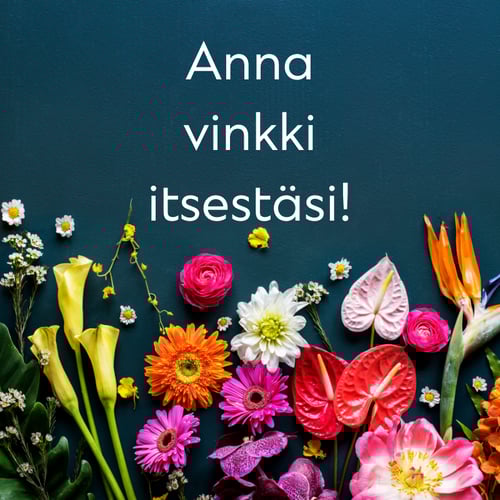 Kuvateksti: Anna Vinkki Itsestäsi!