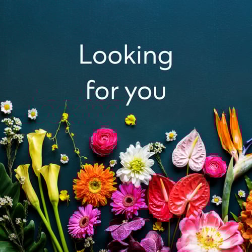 Tummasävyinen kuva leikkokukista sinisellä taustalla, tekstillä “Looking for you!”