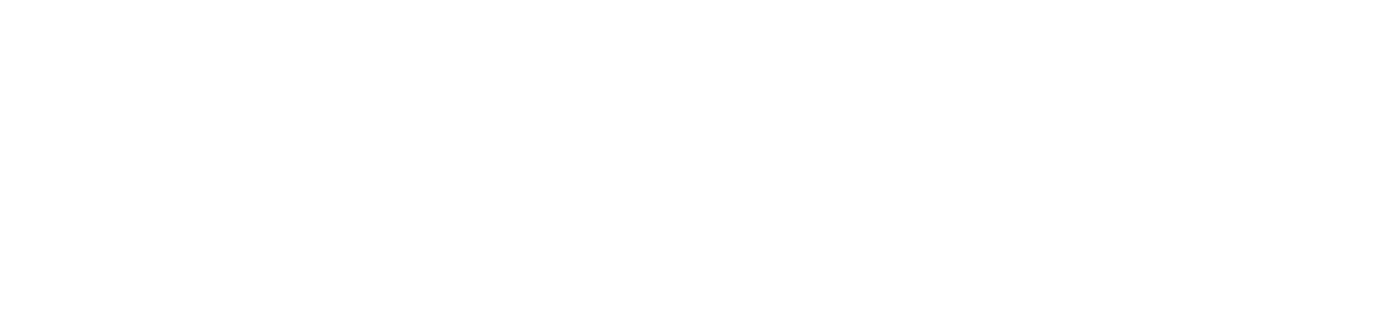 Chief Talent Officer - as Your Service