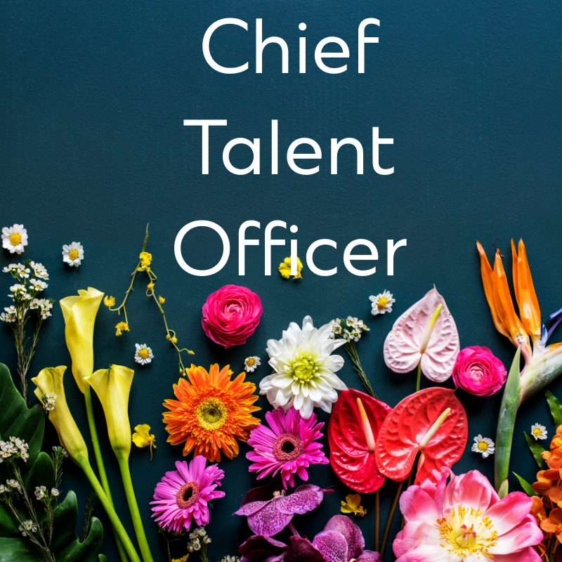 chief ta