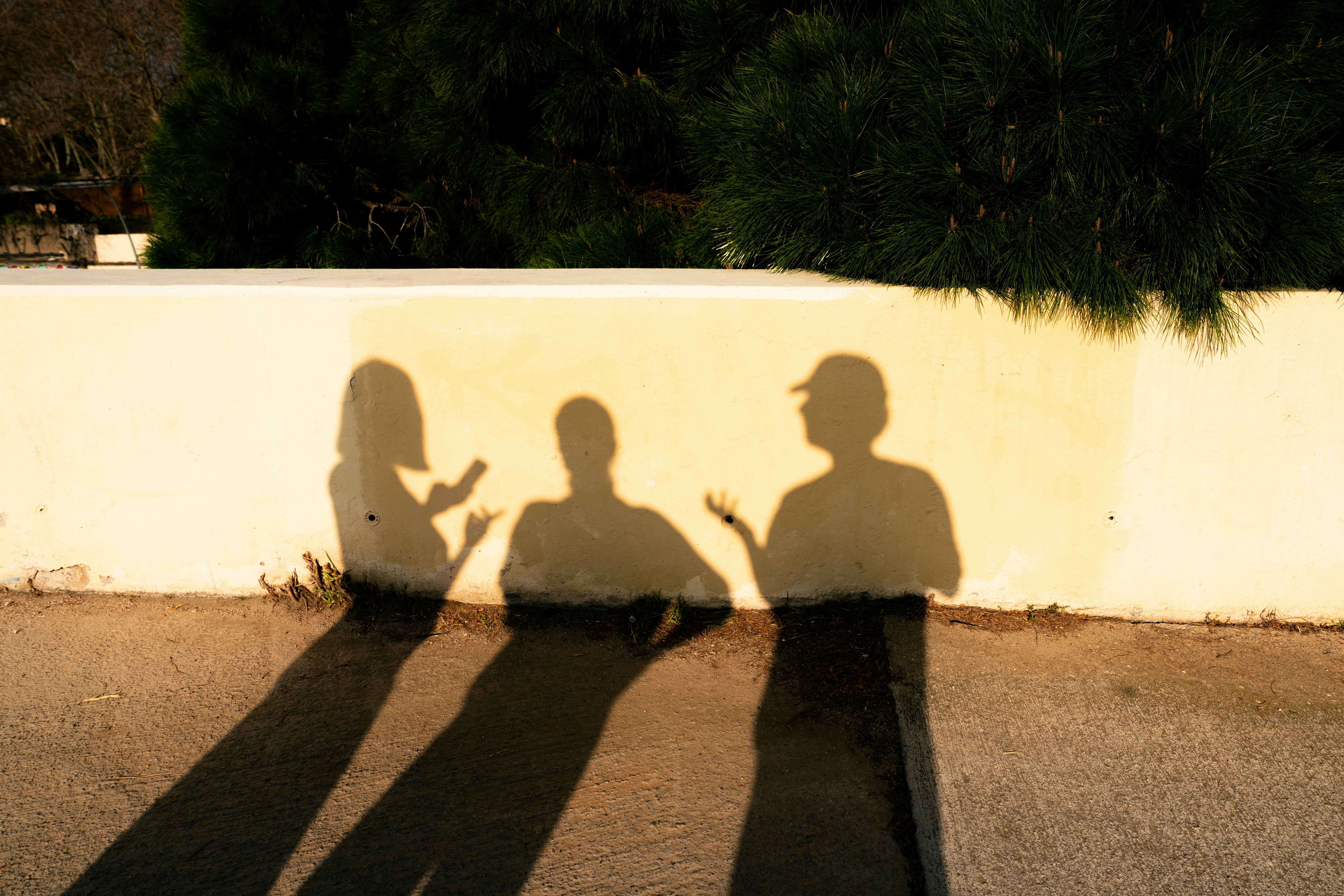 fellipe-ditadi-lPdNsEbCMqA-unsplash